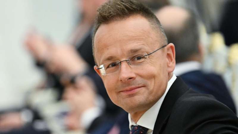 Лукашевич назвал главу МИД Венгрии бойцом за смелые выступления