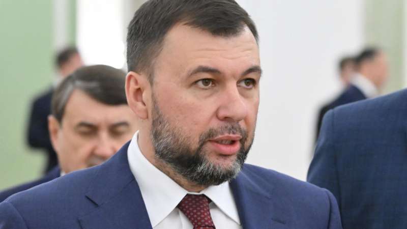 Пушилин рассказал об уголовных делах против организации "Белый ангел"