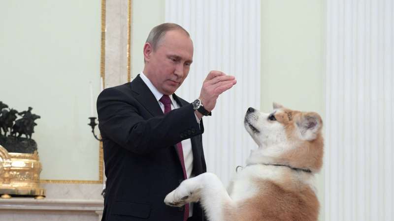"Спасибо, президент". Японцы неожиданно поблагодарили Путина