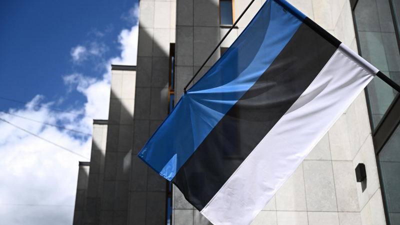 Эстония не будет предоставлять помощь Сирии при сохранении российских баз
