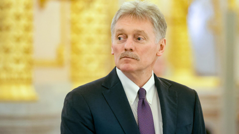 Россия заинтересована в сотрудничестве со странами Африки, заявил Песков