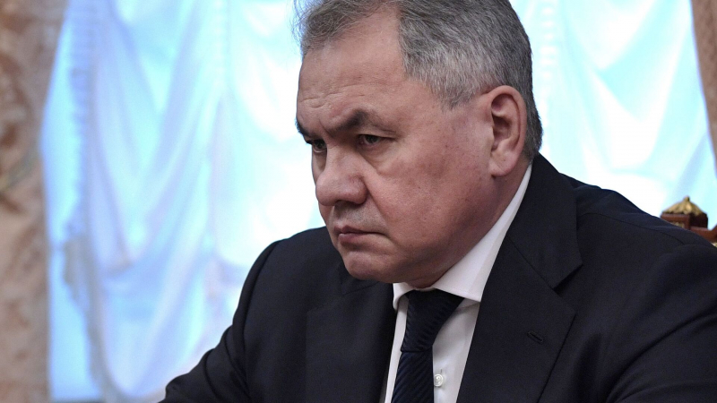 Шойгу высказался по поводу отставки сербского премьера