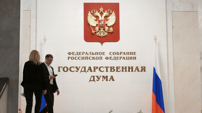 В ГД связали угрозы нацистов семье Мединского с попыткой сорвать переговоры